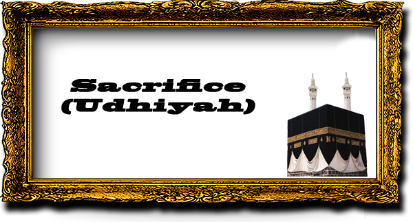 Hajj frame17