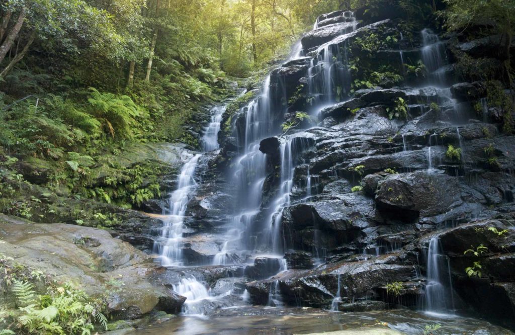 valley-of-the-waters-picnic-area-hero.jpg